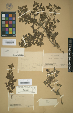 LE 01015046