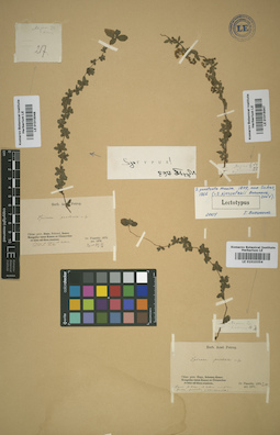 LE 01015048