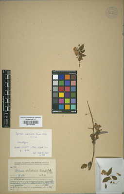 LE 01015053
