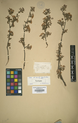 LE 01015110