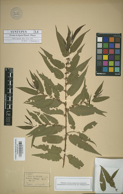 LE 01015114
