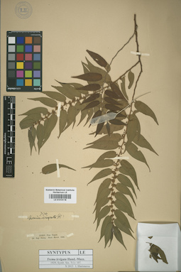 LE 01015116