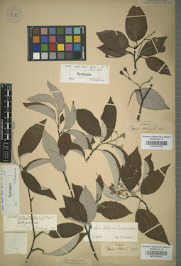 LE 01015122