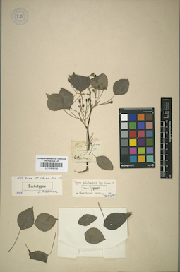 LE 01015132