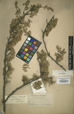 LE 01015142