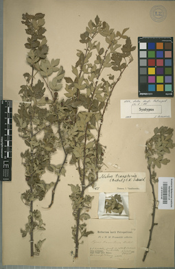 LE 01015143