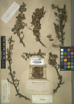 LE 01015144