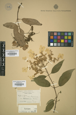 LE 01015165