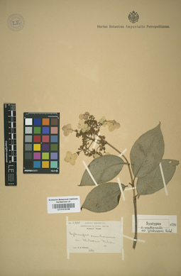 LE 01015166