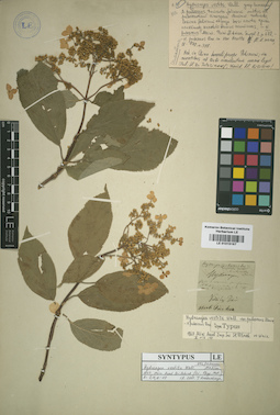 LE 01015167