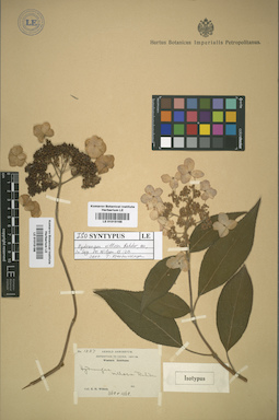 LE 01015168