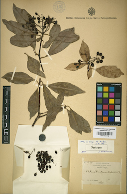 LE 01015178