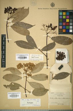 LE 01015179