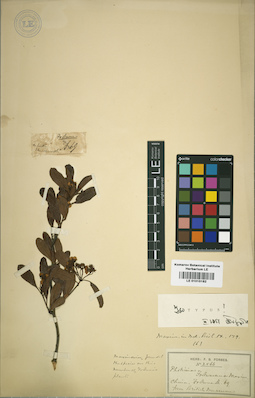 LE 01015182