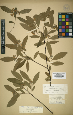 LE 01015187