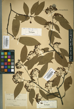 LE 01015189