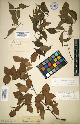 LE 01015190
