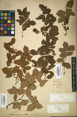 LE 01015192
