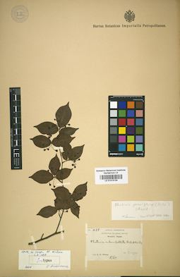 LE 01015194
