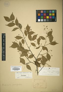 LE 01015199