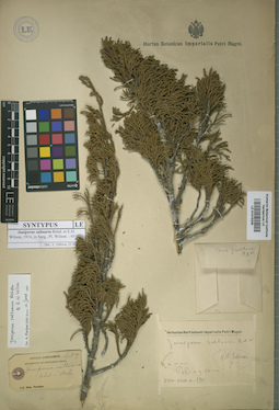LE 01015208