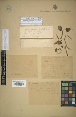 LE 01015209