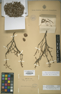 LE 01015212