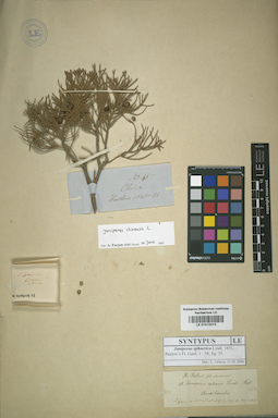 LE 01015213
