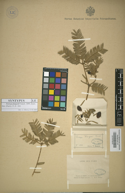 LE 01015215