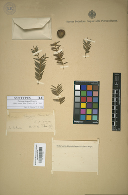 LE 01015217