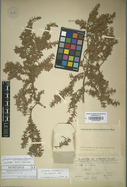 LE 01015218