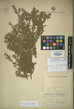 LE 01015221