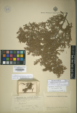 LE 01015222
