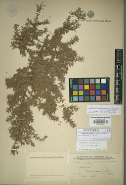 LE 01015223
