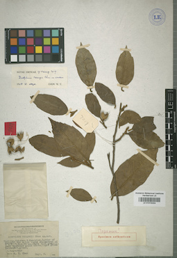 LE 01015224