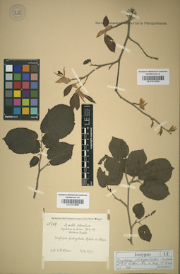 LE 01015225