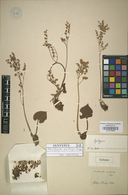 LE 01015260