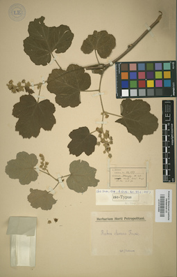 LE 01015263