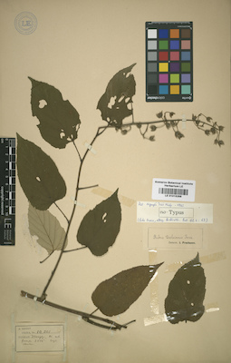 LE 01015268