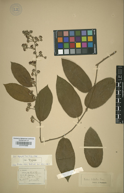 LE 01015269
