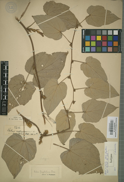 LE 01015272