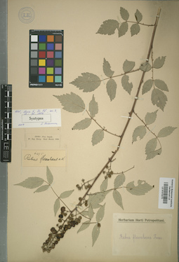 LE 01015273