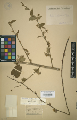 LE 01015282
