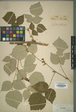 LE 01015283