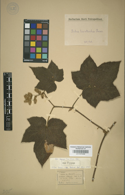 LE 01015286