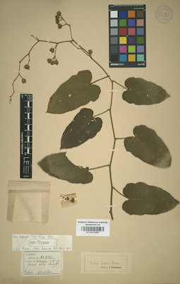 LE 01015287