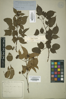LE 01015289