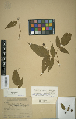 LE 01015290
