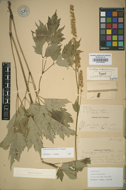 LE 01015303