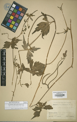 LE 01015306